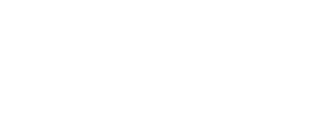 HVP White Full v2 logo preview
